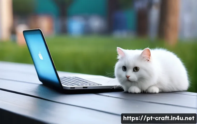 수공예 고양이 액세서리 관련 이미지 1